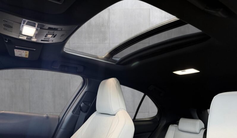 
Lexus UX 250h AWD Luxury full									