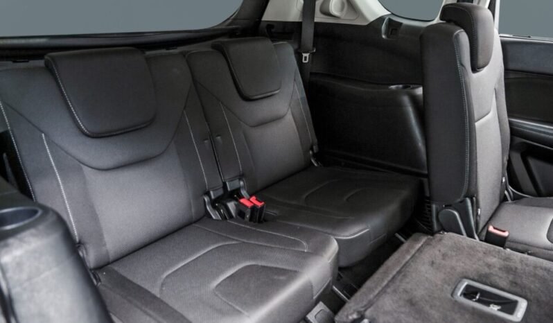 
Ford S-MAX 2.0 TDCi full									