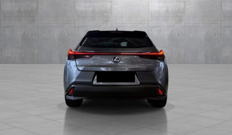 
Lexus UX 250h AWD Luxury full									