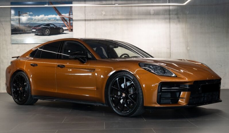 
Porsche Panamera E-Hybrid full									