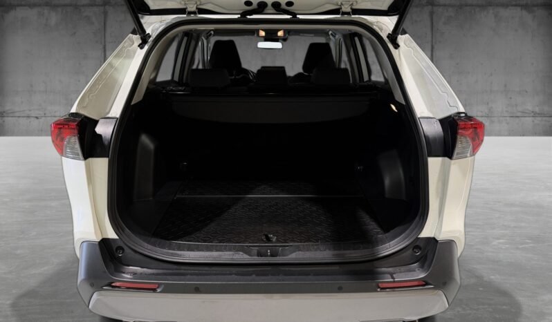 
Toyota RAV4 2.5 Hybrid Active AWD full									