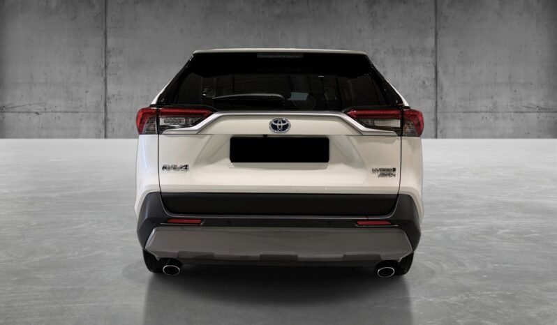 
Toyota RAV4 2.5 Hybrid Active AWD full									