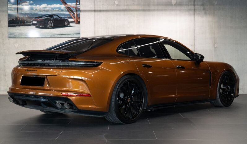 
Porsche Panamera E-Hybrid full									