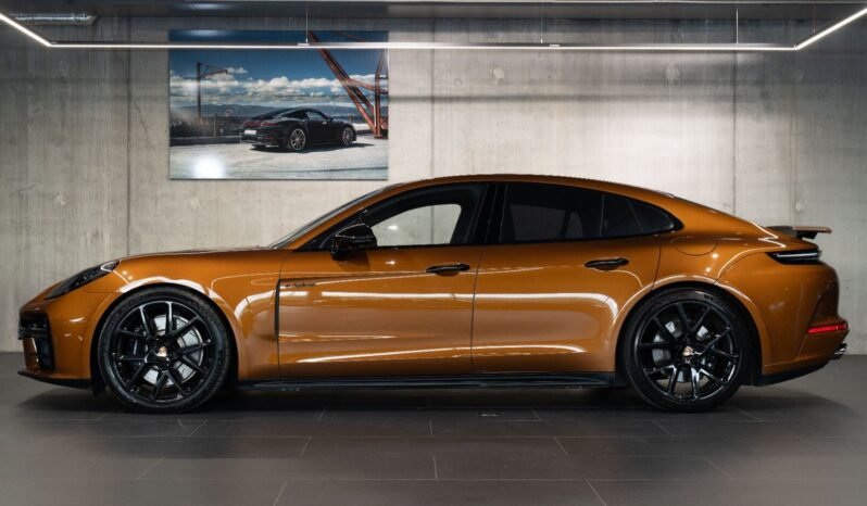 
Porsche Panamera E-Hybrid full									