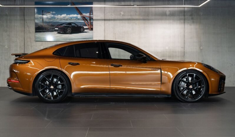 
Porsche Panamera E-Hybrid full									